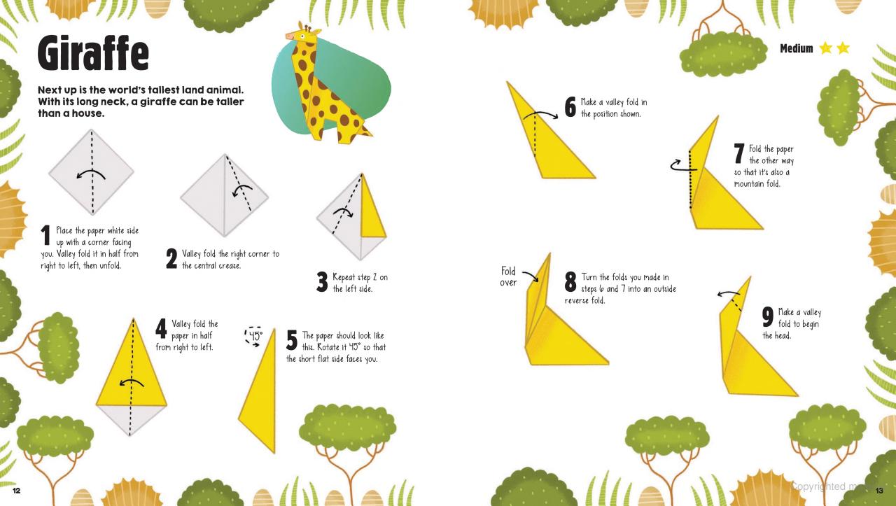 DVR Origami Safari