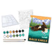 MSTR Eagle Paint-by-Number Kit