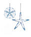 Acrylic Starfish or Sand Dollar Ornament (Single) - Random Style