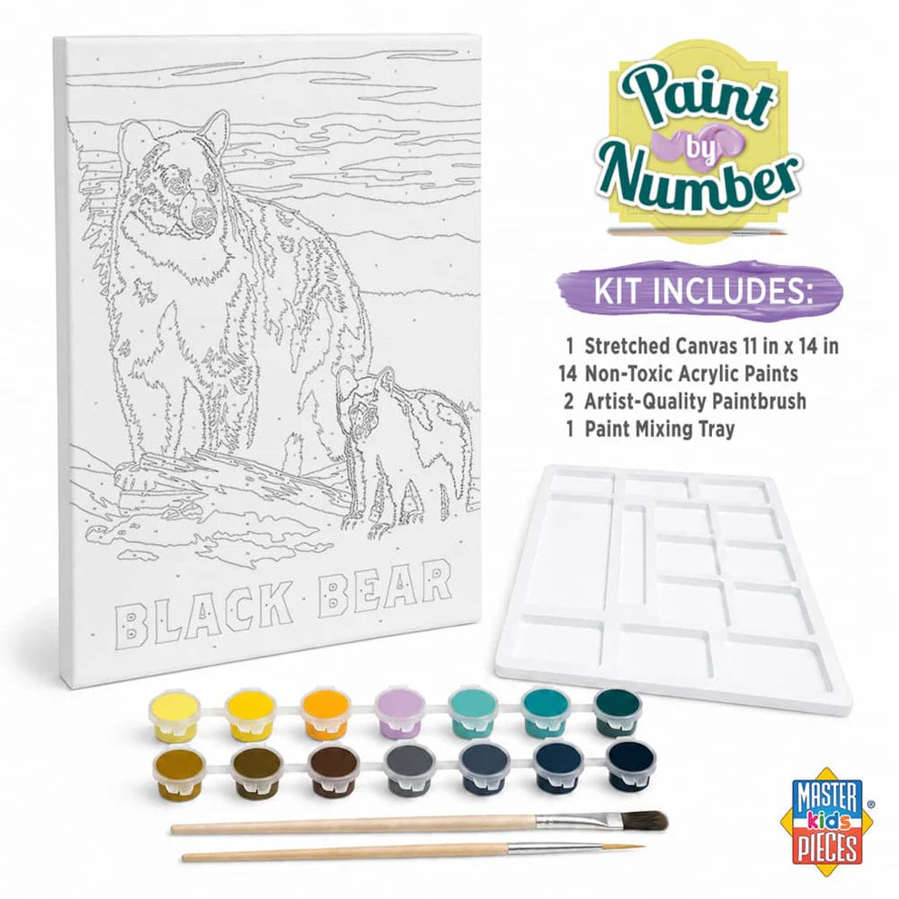 MSTR Black Bear Paint-by-Number Kit