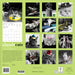 GRPH Classic Cats 2027 Wall Calendar