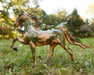 BRYR Freedom Series - Honor | 2025 Hope Horse