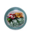 Santa In Sleigh Water Globe 100MM