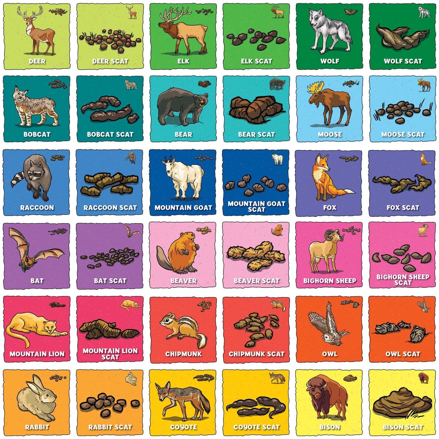 Animal Poop Matching Game    