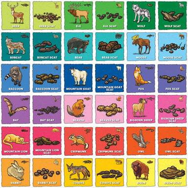 Animal Poop Matching Game    