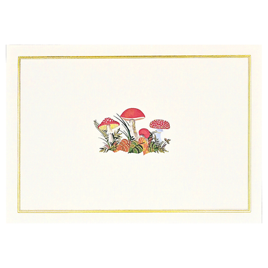 PTR Mushrooms Note Cards