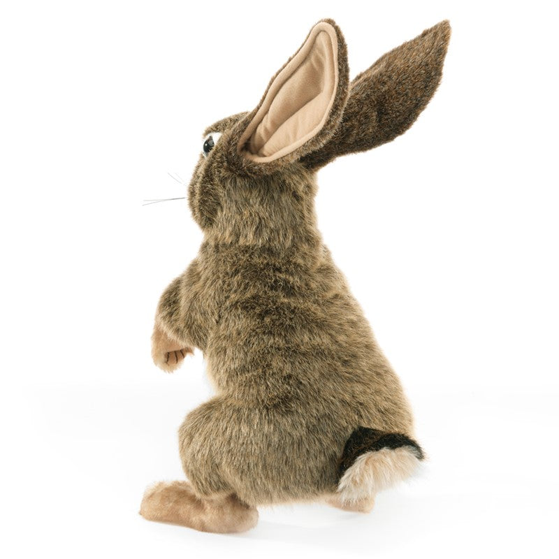 Folkmanis Puppet - Jack Rabbit