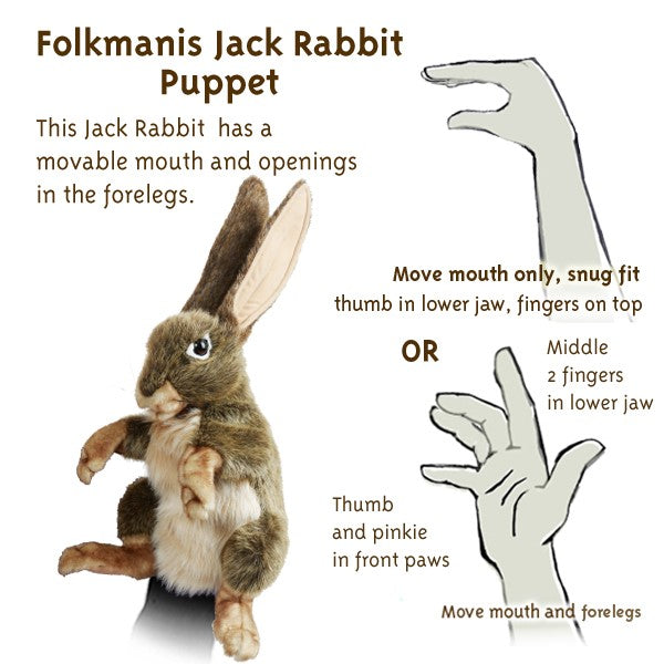 Folkmanis Puppet - Jack Rabbit