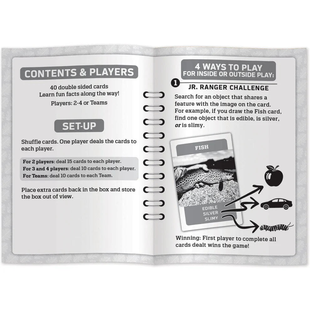 Jr. Ranger Scavenger Hunt Card Game