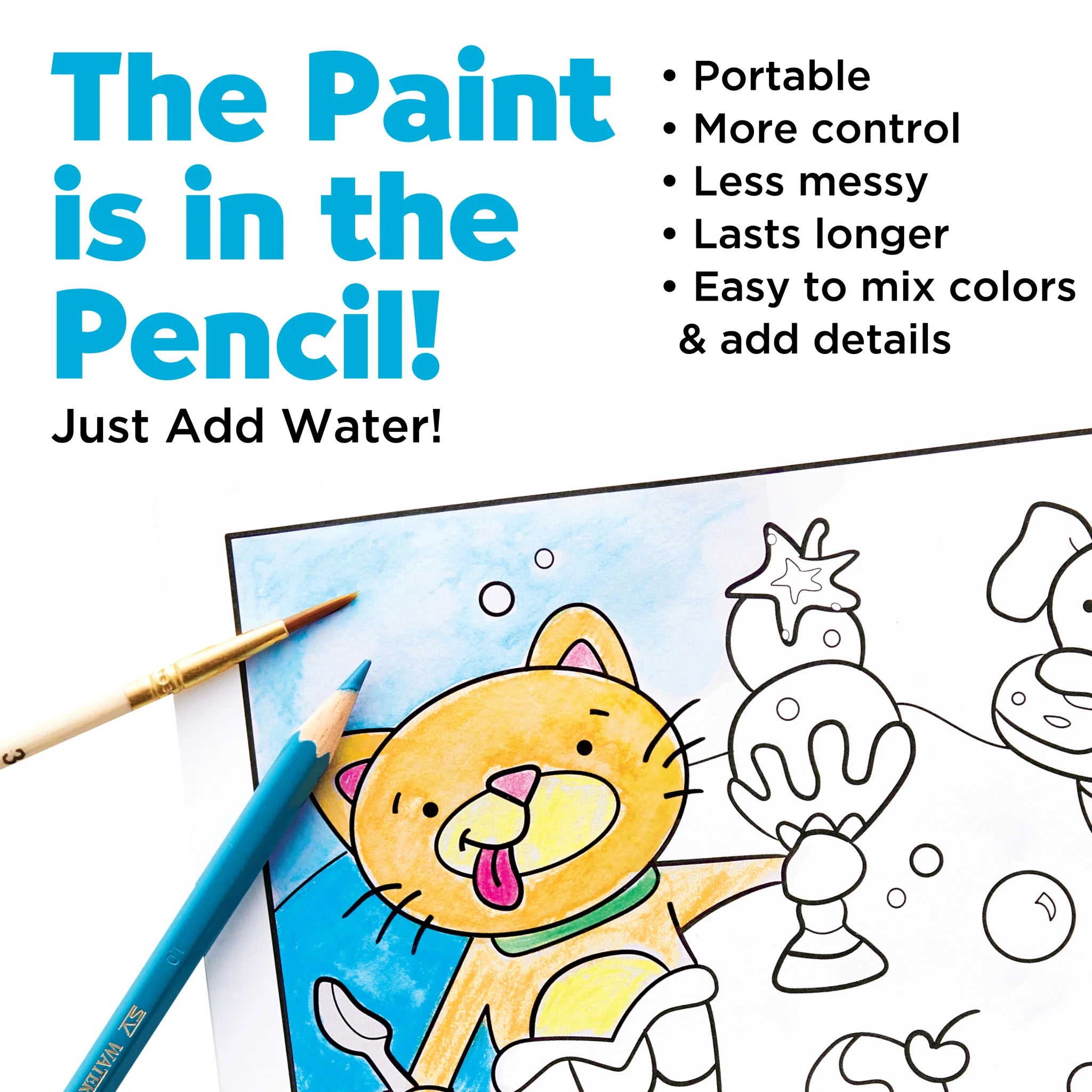 Paint By Number Mermaid Pets Wall Art