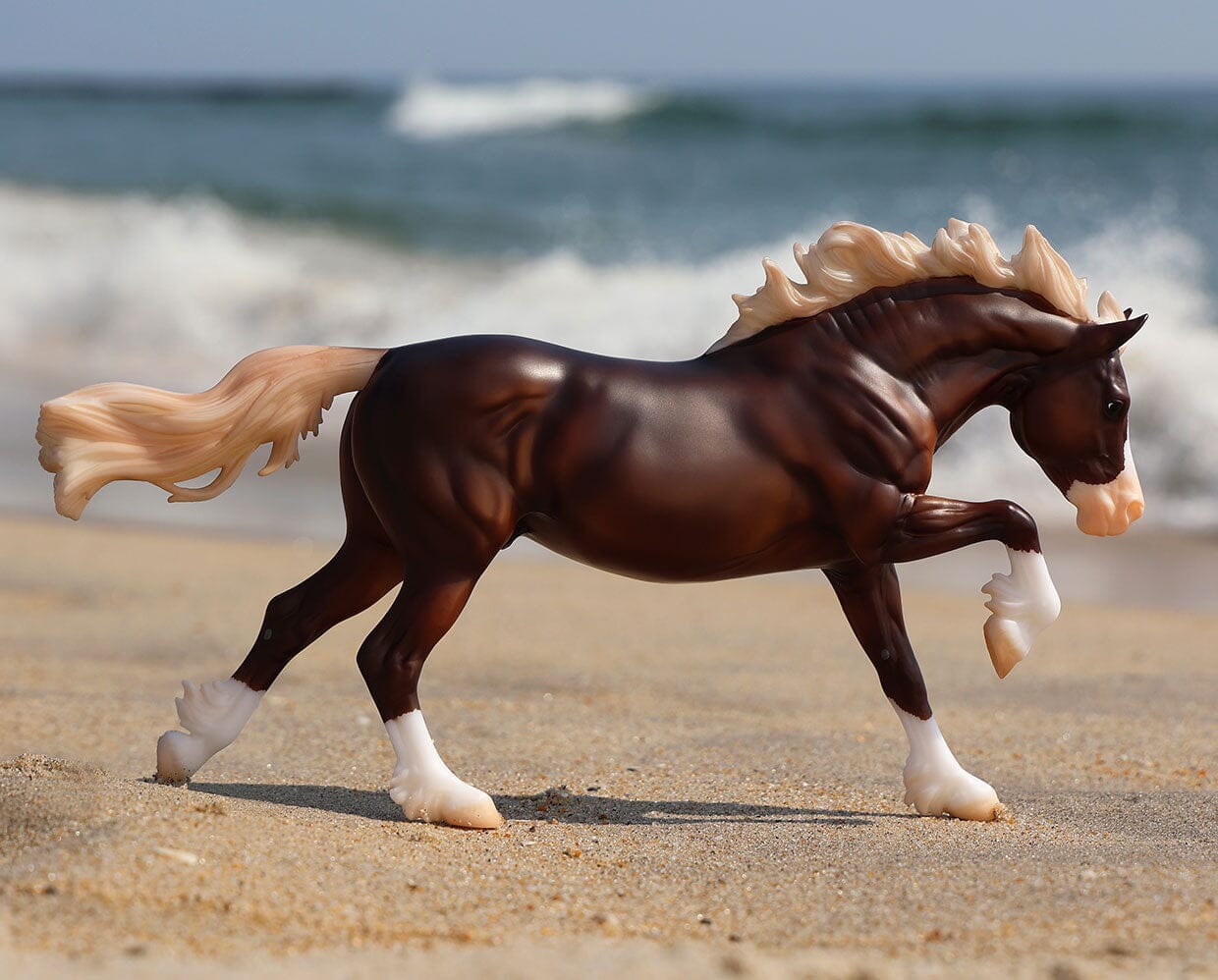 BRYR Surfer's Riptide | Chincoteague Pony