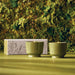 Thymes Outdoor Oasis Citronella Grove Aromatic Candle Set