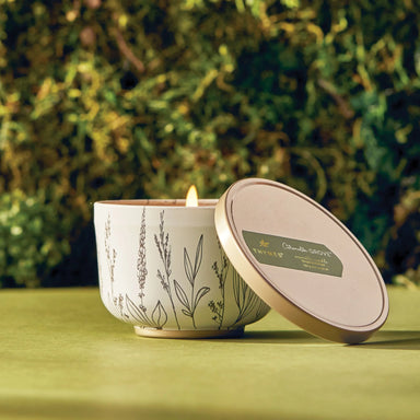 Thymes Outdoor Oasis Citronella Grove Poured Candle Tin with Gold Lid