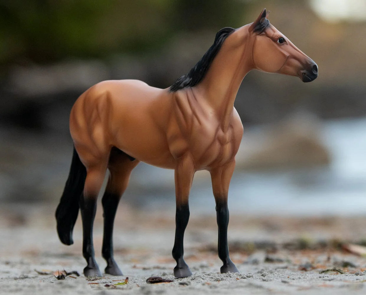 BRYR The Ideal Series | Buckskin