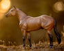 BRYR The Ideal Series | Buckskin