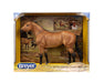 BRYR The Ideal Series | Buckskin