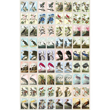 MSTR Audubon Memory Game