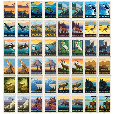 MSTR National Parks Wildlife Memory Game