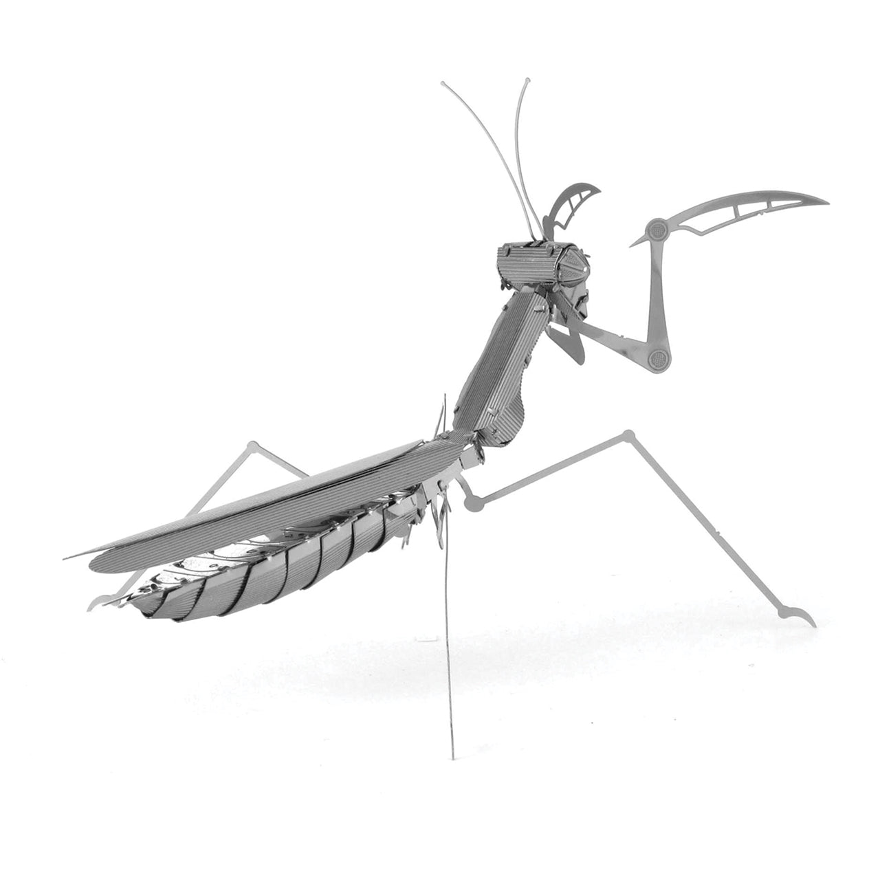 Metal Earth - Praying Mantis    