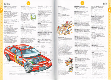 Usborne Illustrated Dictionary    
