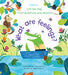 What Are Feelings? - Lift The Flap First Questions and Answers    
