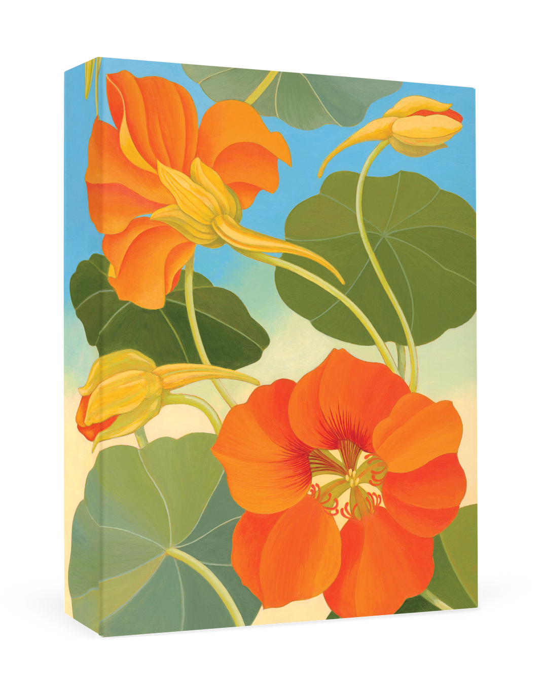 Siri Schillios Nasturtium - Boxed Thank You Cards    