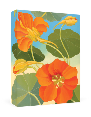 Siri Schillios Nasturtium - Boxed Thank You Cards    