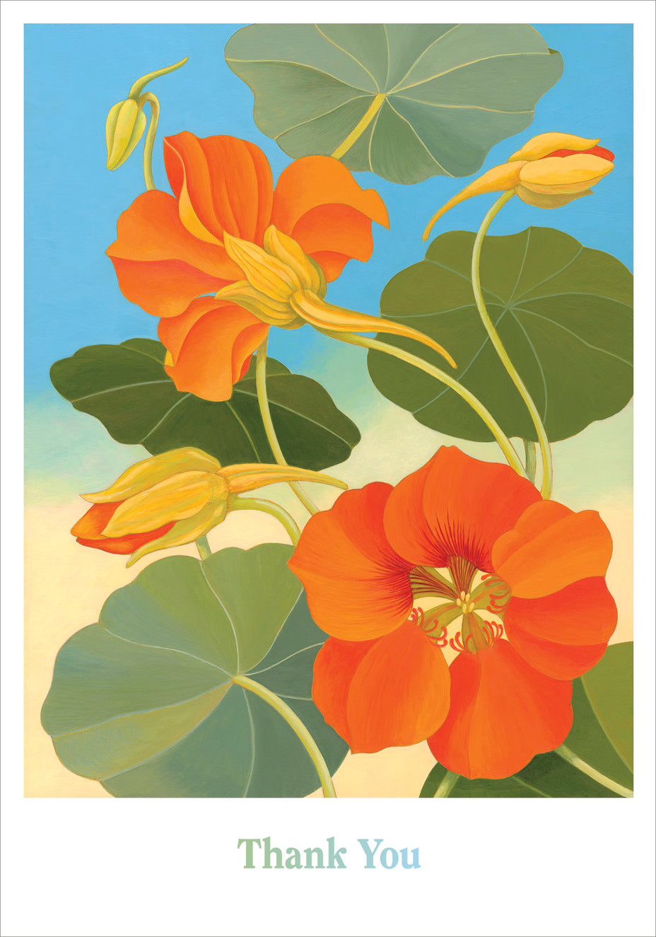 Siri Schillios Nasturtium - Boxed Thank You Cards    