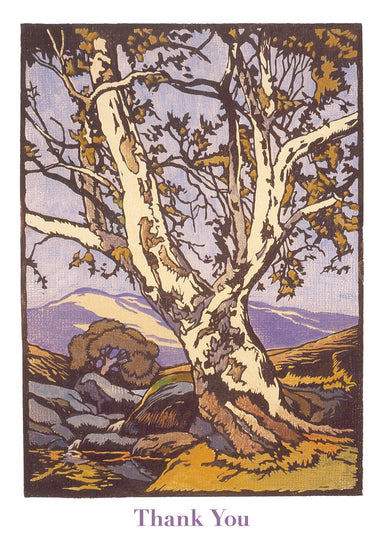 William S. Rice Western Sycamore - Boxed Thank You Cards    