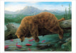Bears by Bissell - Boxed Assorted Note Cards    