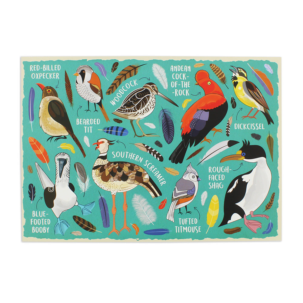 Fowl Language 1000 Piece Puzzle    