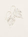 Holly Yashi Tropical Lace Leaf Earrings - Silver    
