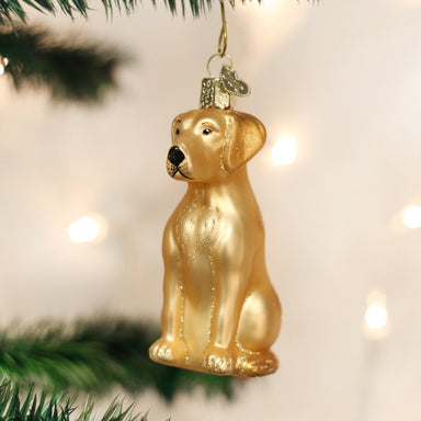 Old World Christmas - Yellow Lab Ornament    