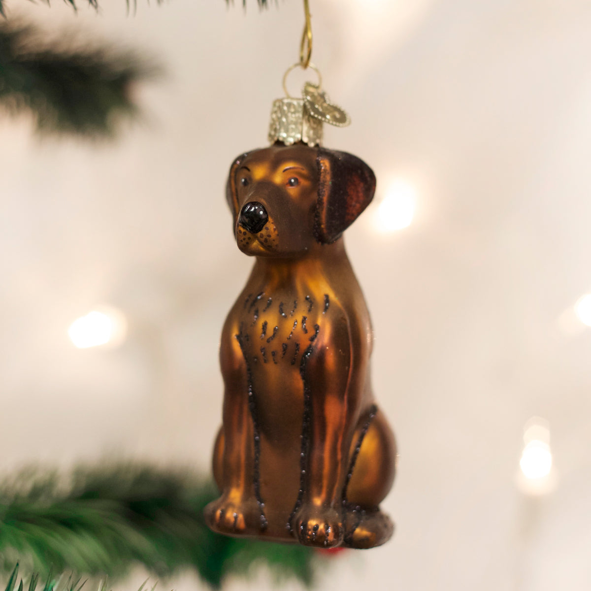 Old World Christmas Chocolate Lab Ornament    