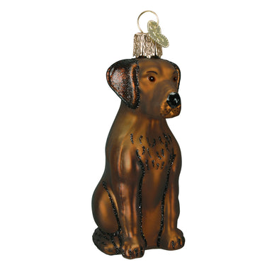 Old World Christmas Chocolate Lab Ornament    