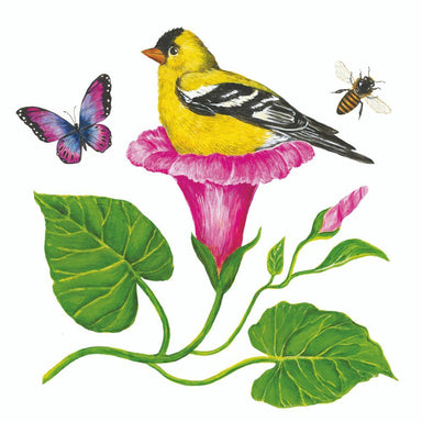 Morning Glory Nest - Cocktail Napkins    