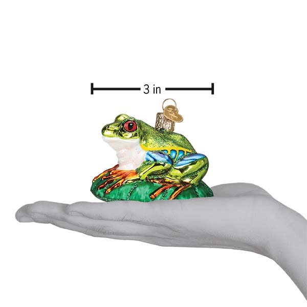 Old World Christmas Red-Eyed Tree Frog Ornament    