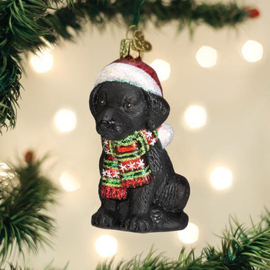 Old World Christmas - Holiday Black Labrador Puppy Ornament    