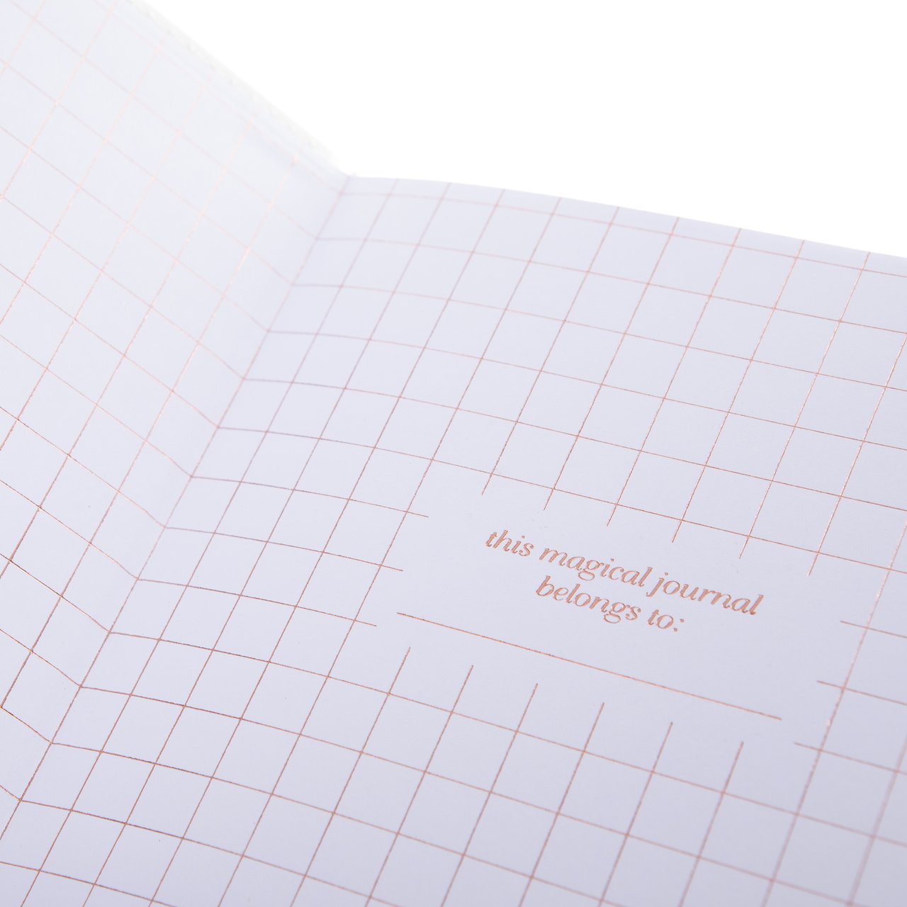 Snap Journal - Pearl With Rose Gold Dots    