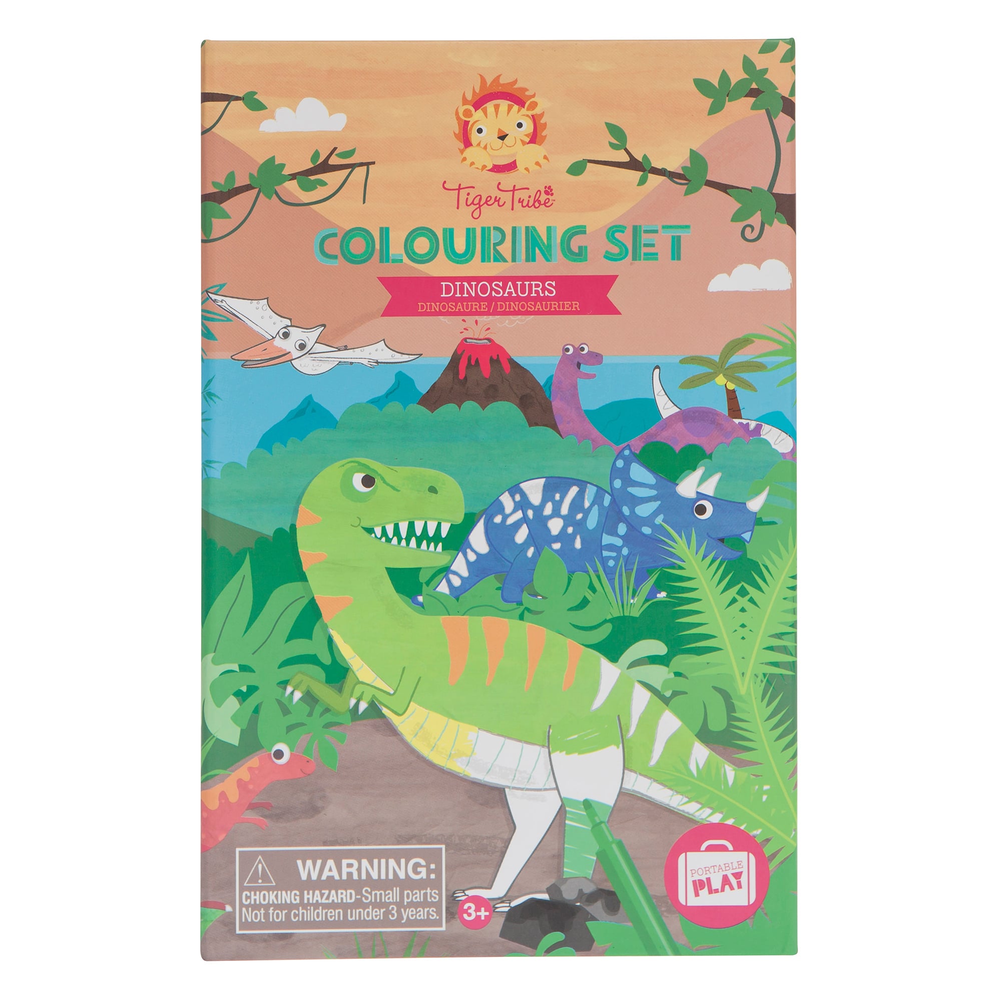 Coloring Set - Dinosaurs    