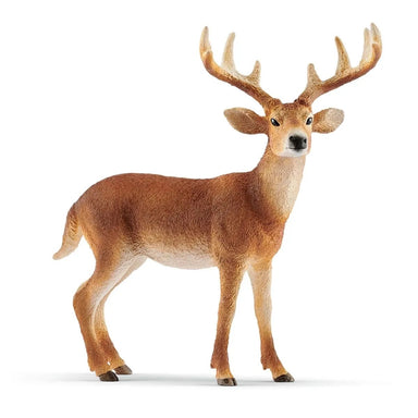 Schleich - White Tailed Buck    