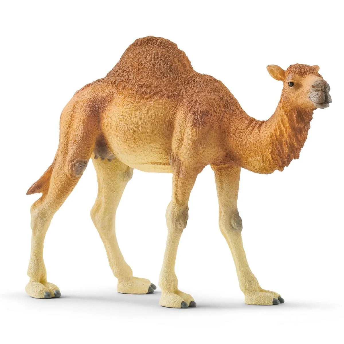 Schleich -  Dromedary    