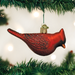 Old World Christmas - Northern Cardinal Ornament    