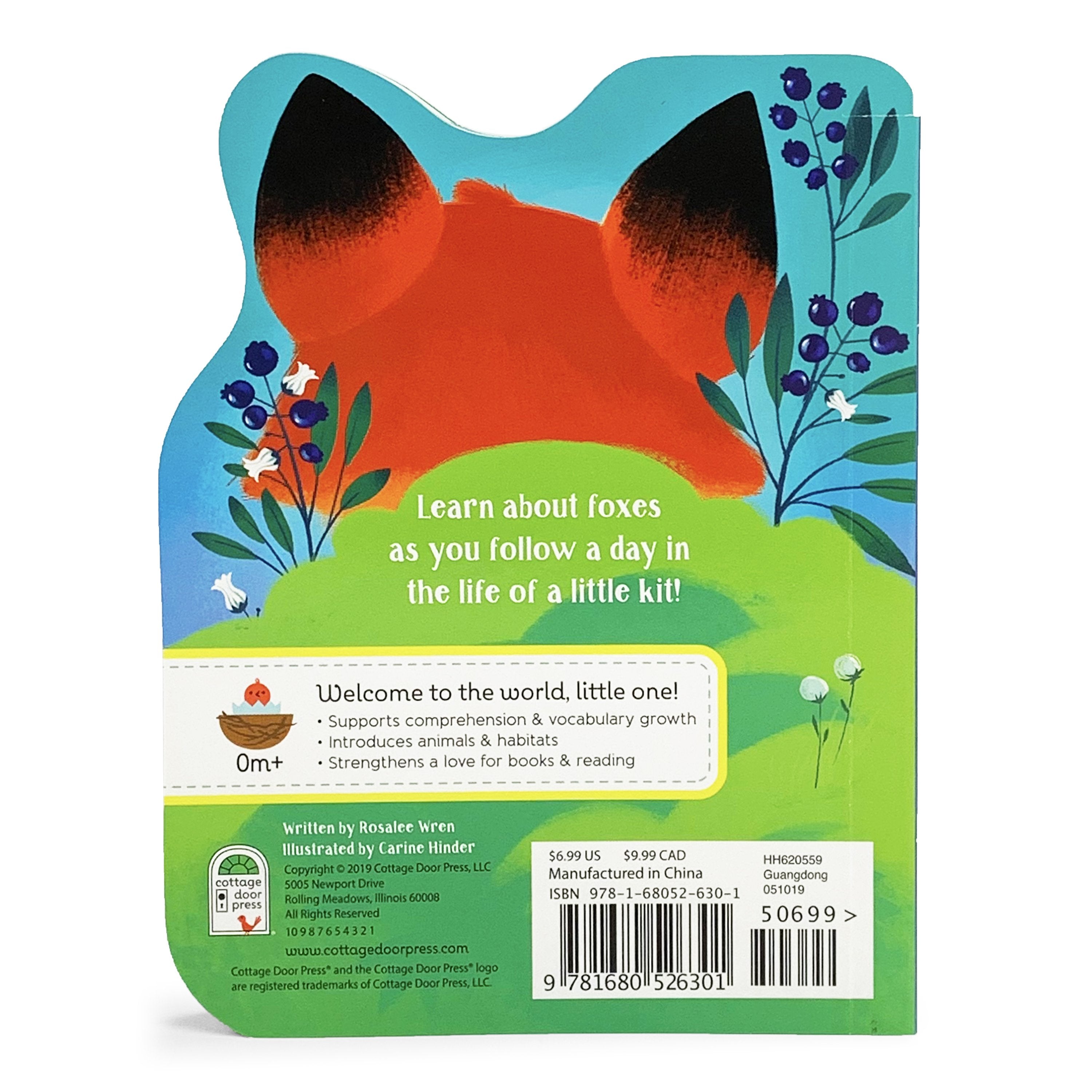 A Little Fox    
