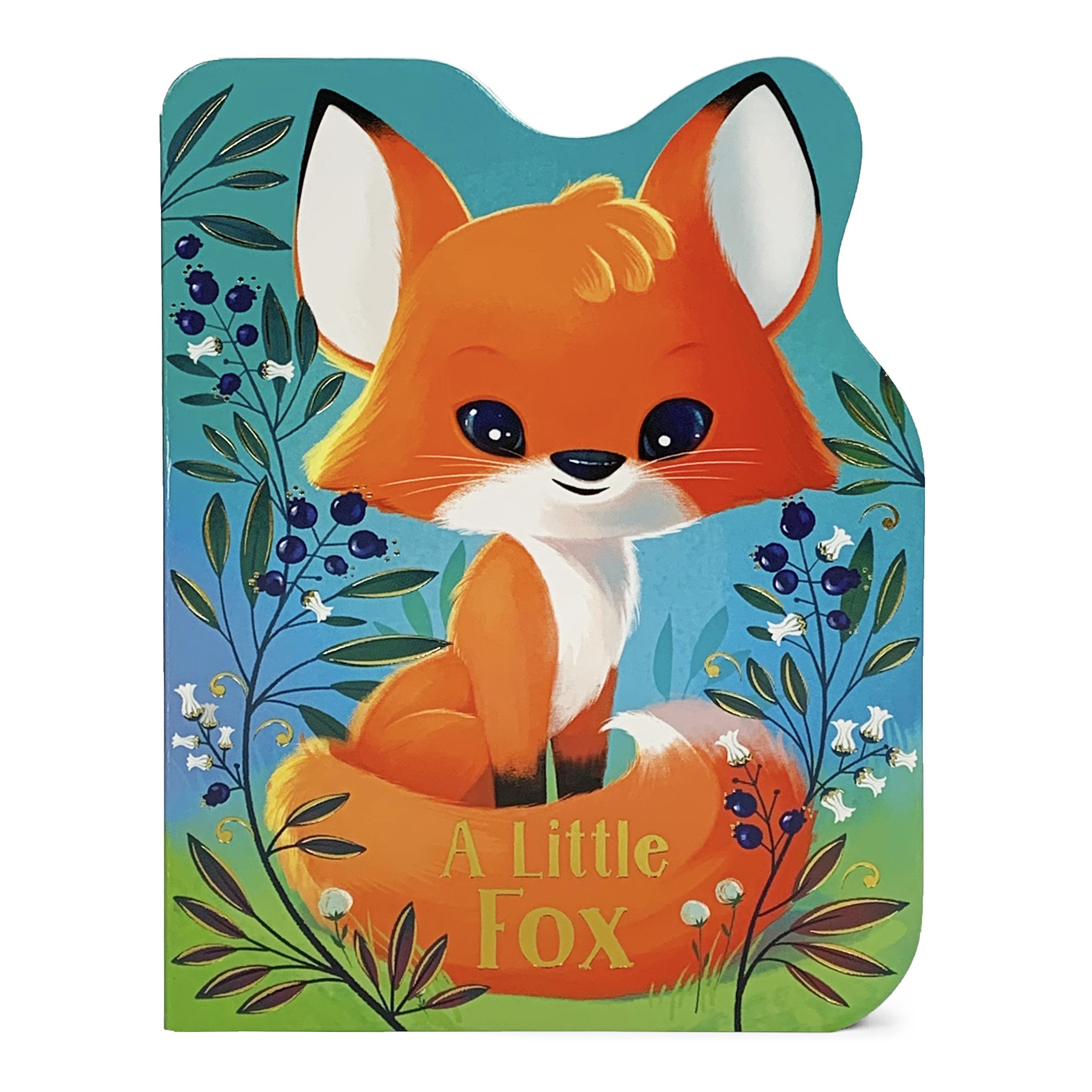 A Little Fox    