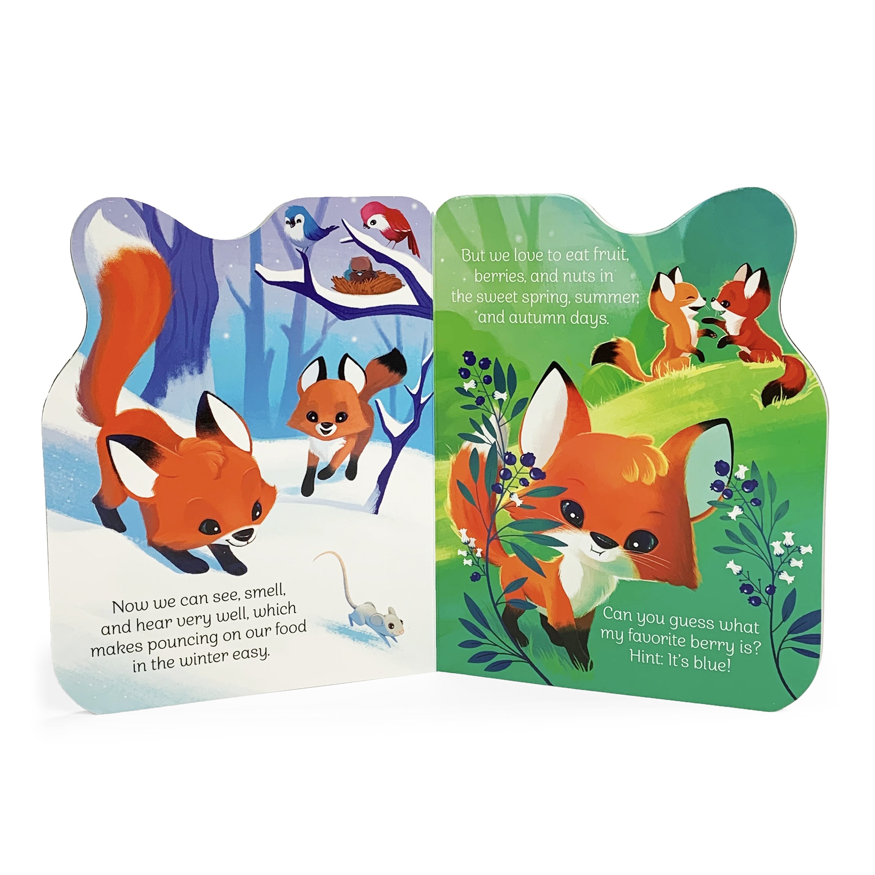A Little Fox    