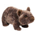 Toowoomba Wombat    