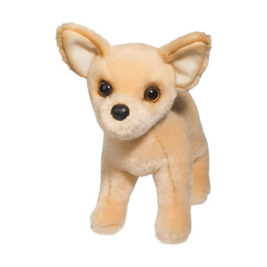 Carlos Chihuahua    