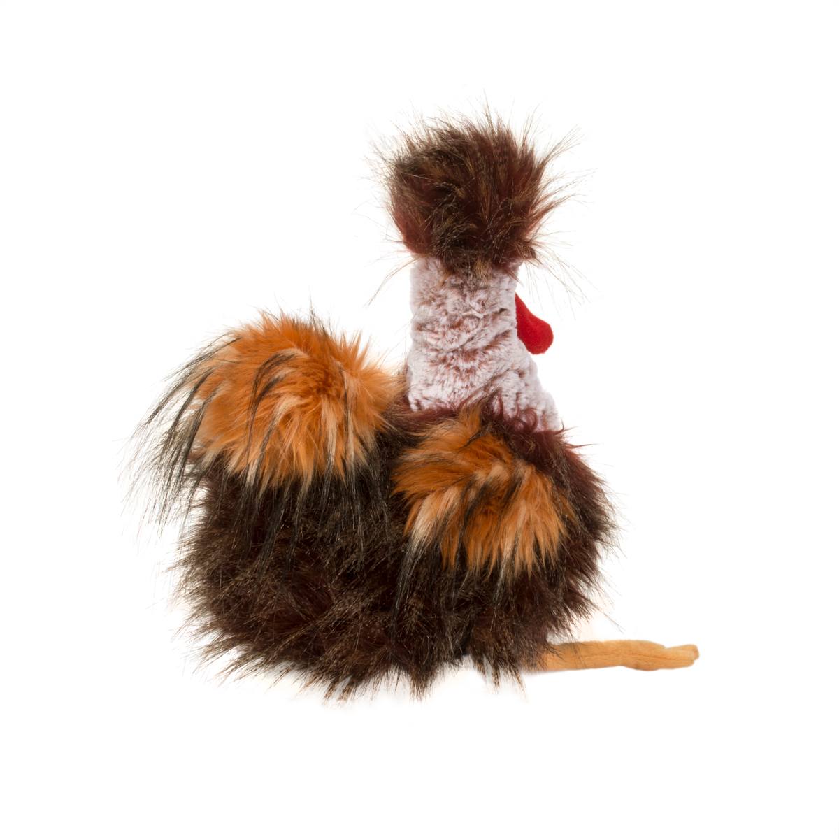 Ricardo Rooster    