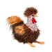 Ricardo Rooster    